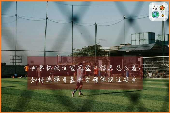 世界杯投注官网盘口信息怎么看，如何选择可靠平台确保投注安全