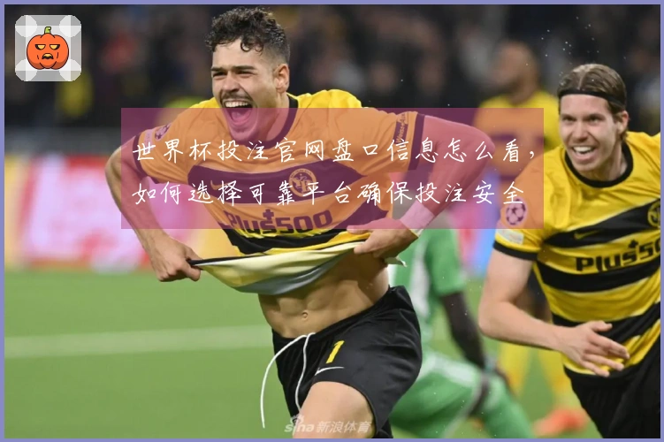 世界杯投注官网盘口信息怎么看，如何选择可靠平台确保投注安全