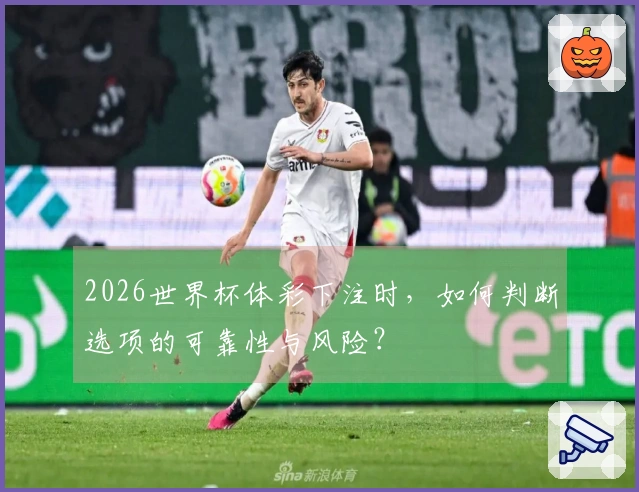2026世界杯体彩下注时，如何判断选项的可靠性与风险？