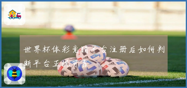 世界杯体彩竞猜平台注册后如何判断平台正规可靠