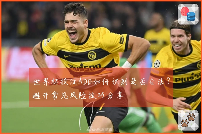 世界杯投注App如何识别是否合法？避开常见风险技巧分享