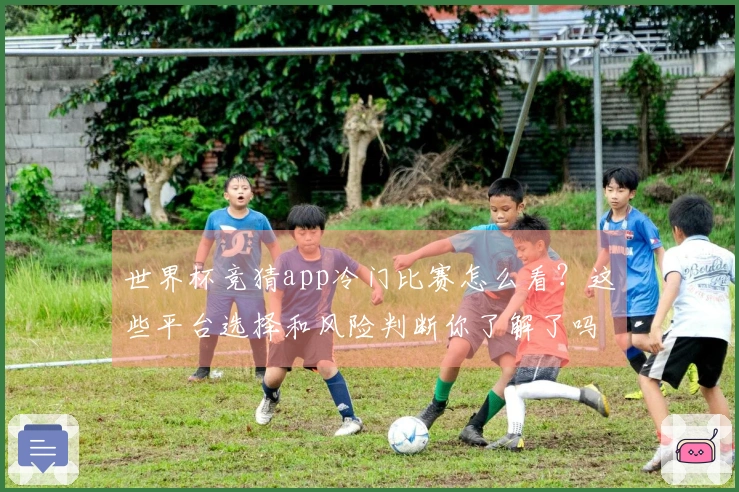 世界杯竞猜app冷门比赛怎么看？这些平台选择和风险判断你了解了吗