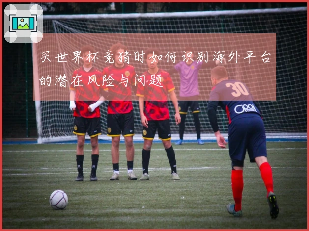 买世界杯竞猜时如何识别海外平台的潜在风险与问题