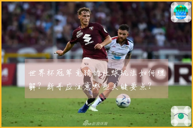 世界杯冠军竞猜的让球玩法如何理解？新手应注意哪些关键要点？